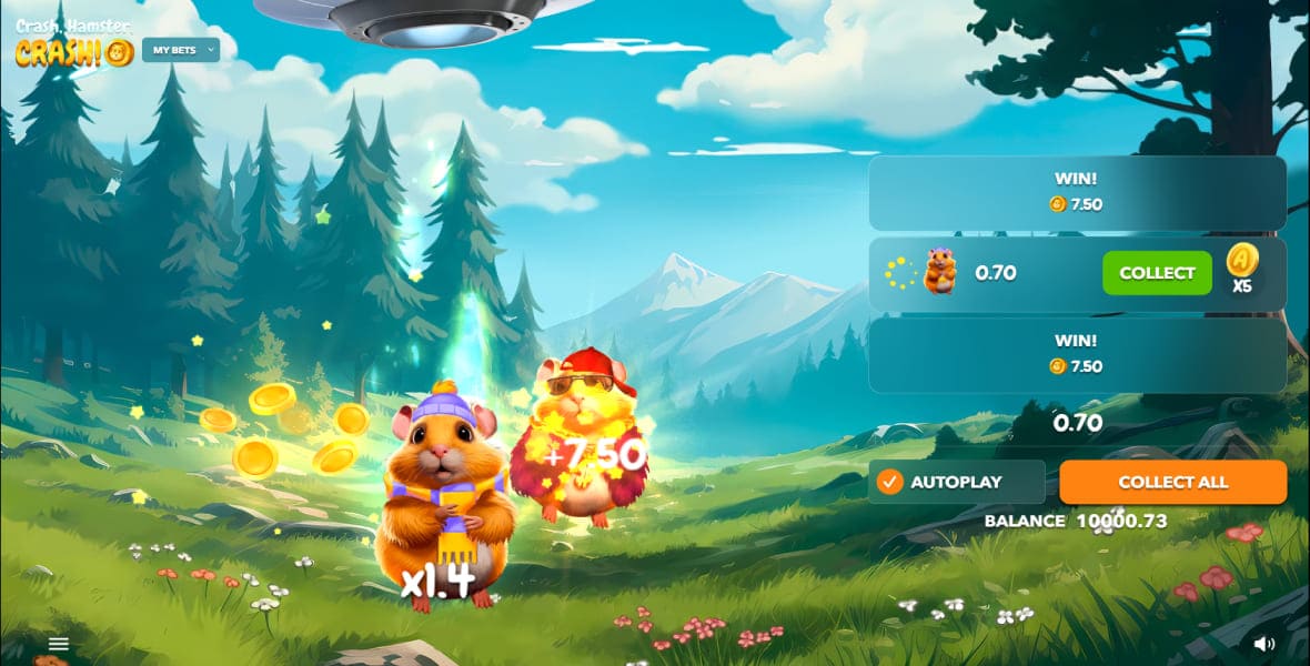 Crash Hamster Crash